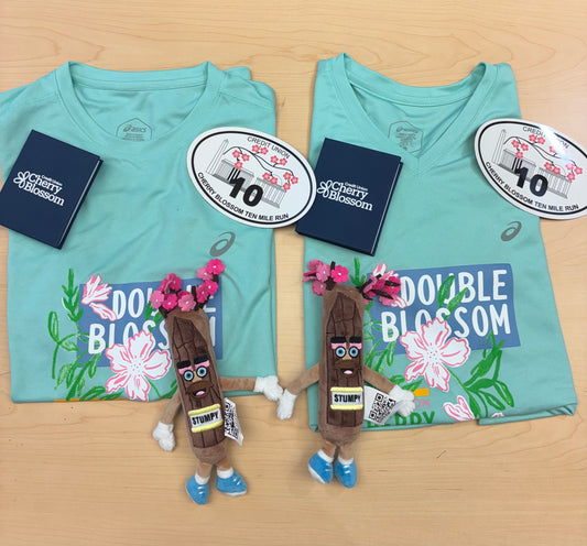 Seeing Double Bundle